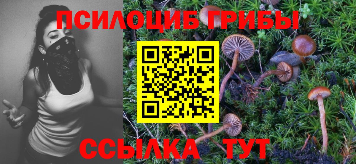 Псилоцибиновые грибы MAGIC MUSHROOMS  Вход с VPN  Шарыпово  Псилоцибиновые грибы прущие грибы 
